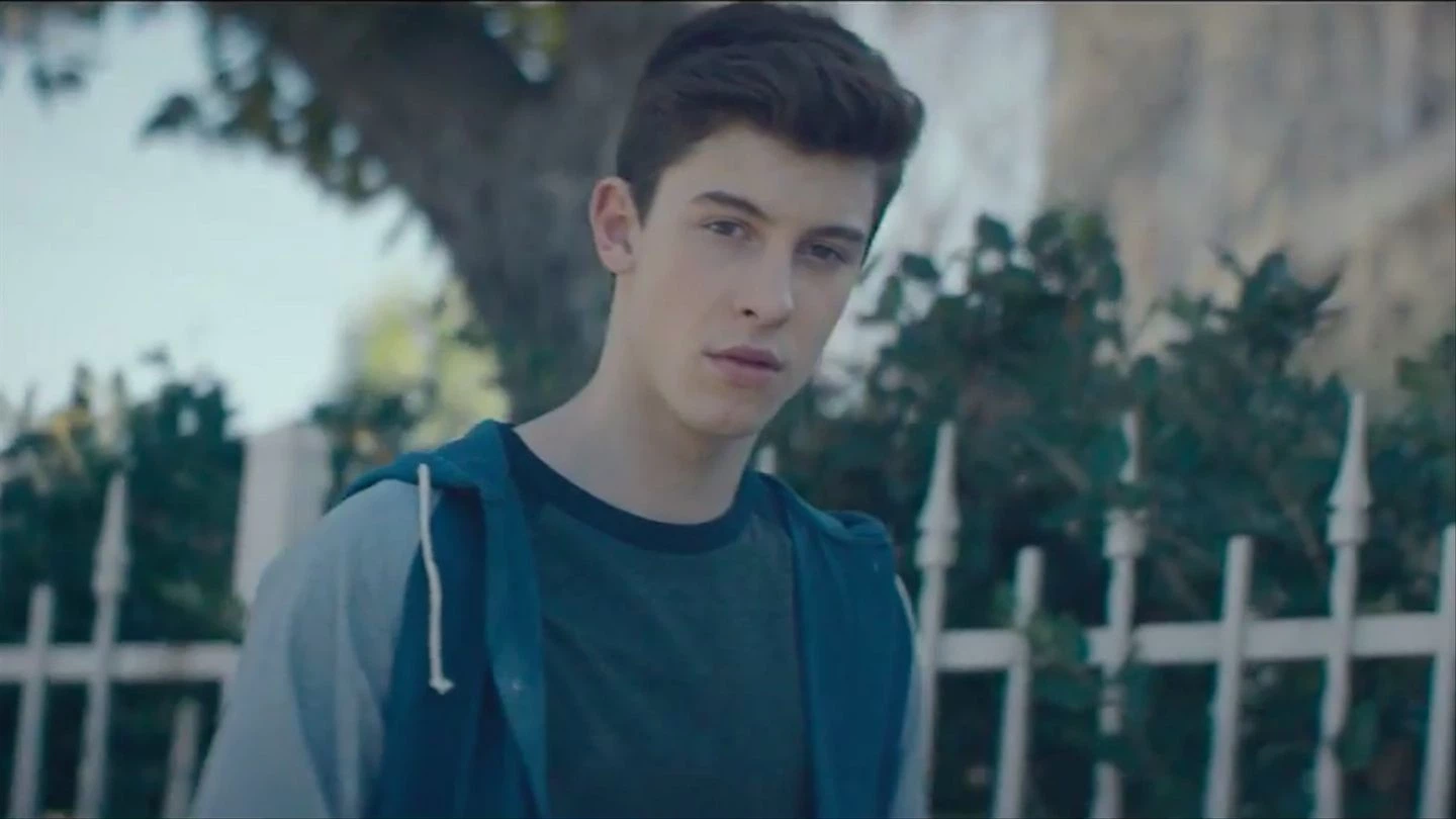 shawn Mendes