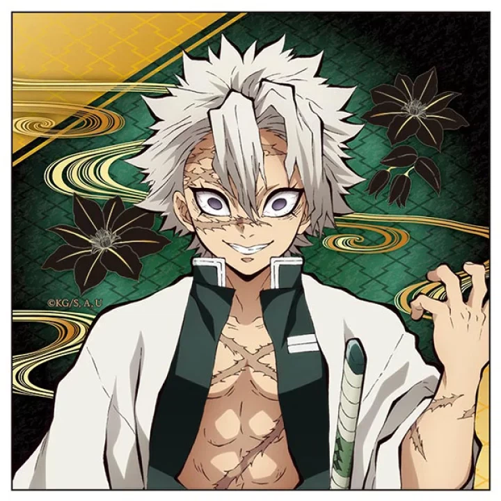 Shinazugawa Sanemi