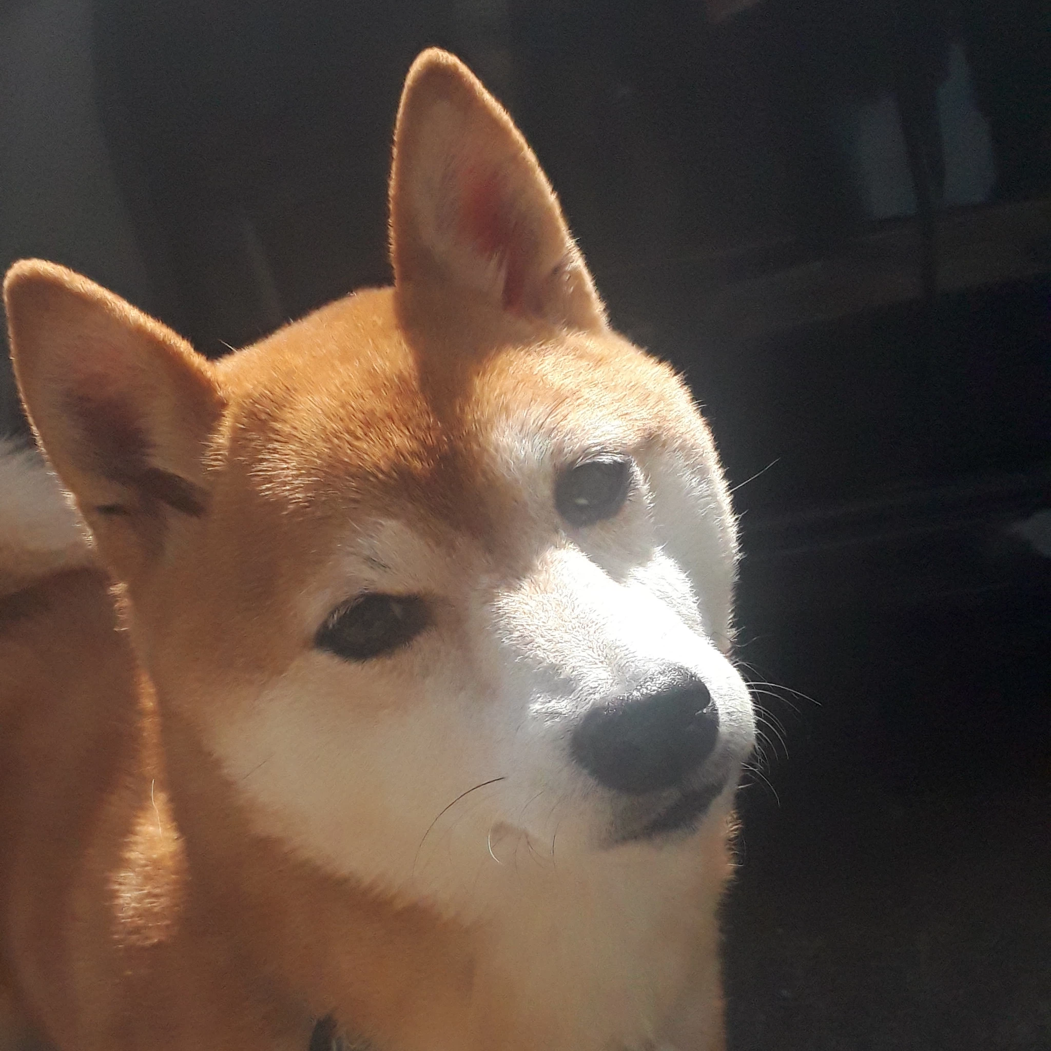 りん