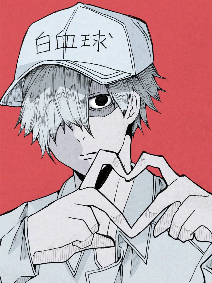 White Blood Cell
