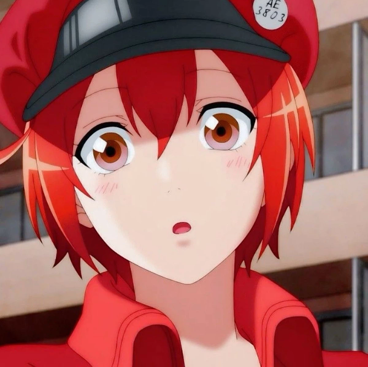 Red Blood Cell